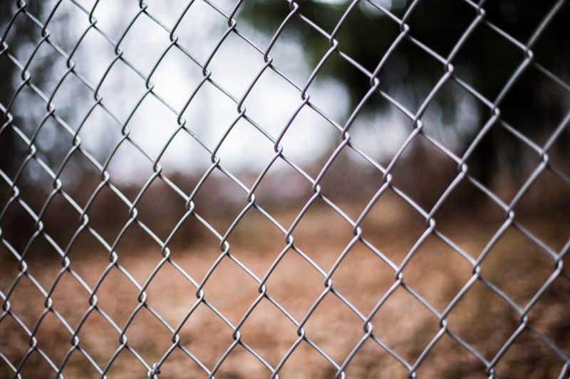 Chain Link Fence Painting